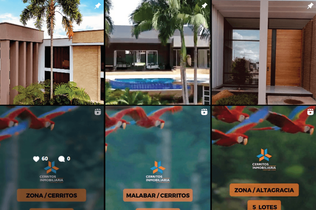 Simulación del feed de Instagram
